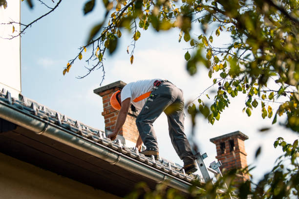 Best Emergency Roof Repair  in Burkesville, KY