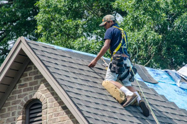 Best Residential Roofing Contractor  in Burkesville, KY